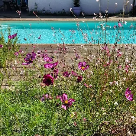 Villa Grande Avec Vue Et Piscine